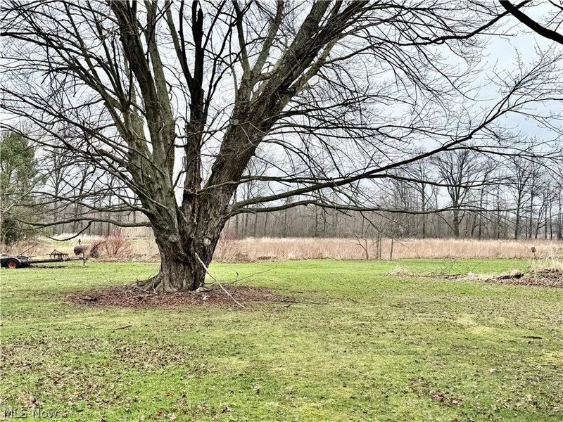 6739 Wilson Sharpsville Road, Fowler, OH 44418 Photo 21