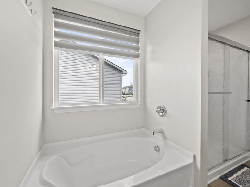 278 Rochdale Run, Delaware, OH 43015 Photo 35