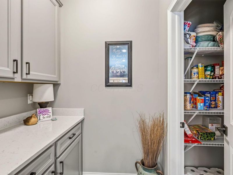 6276 Callaway Square W, New Albany, OH 43054 Photo 9