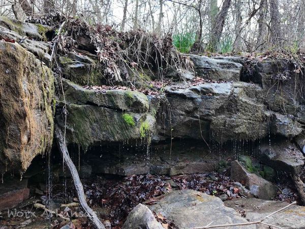 1872 Little Red River Road, Marshall, AR 72650