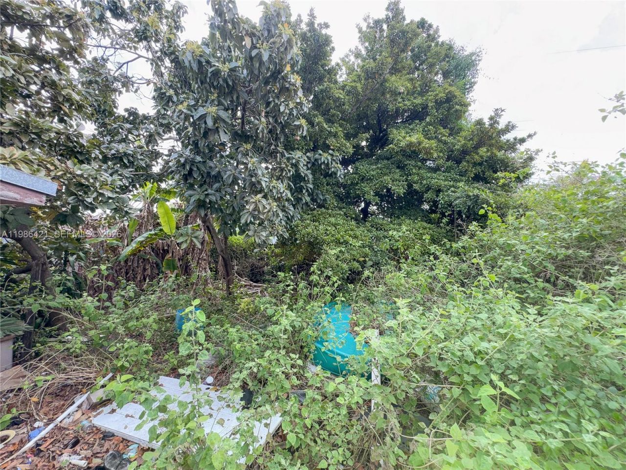 11430 SW 41st Ter , Miami, FL 33165 Photo