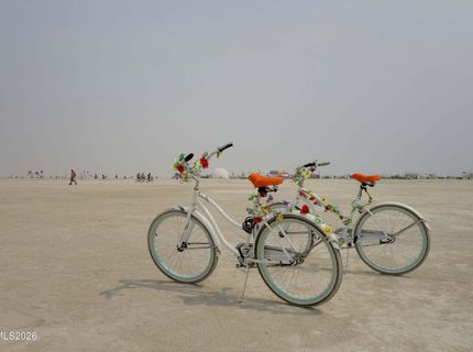 500 State Route 34, Gerlach, NV 89412 Photo