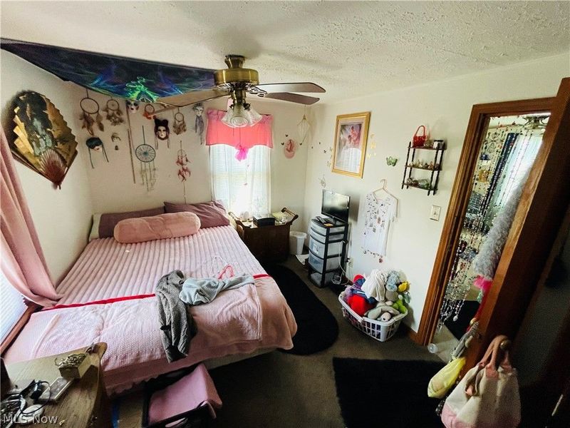 219 Mulberry Street , Wooster, OH 44691 Photo 11