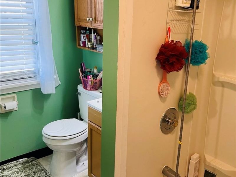 219 Mulberry Street , Wooster, OH 44691 Photo 12