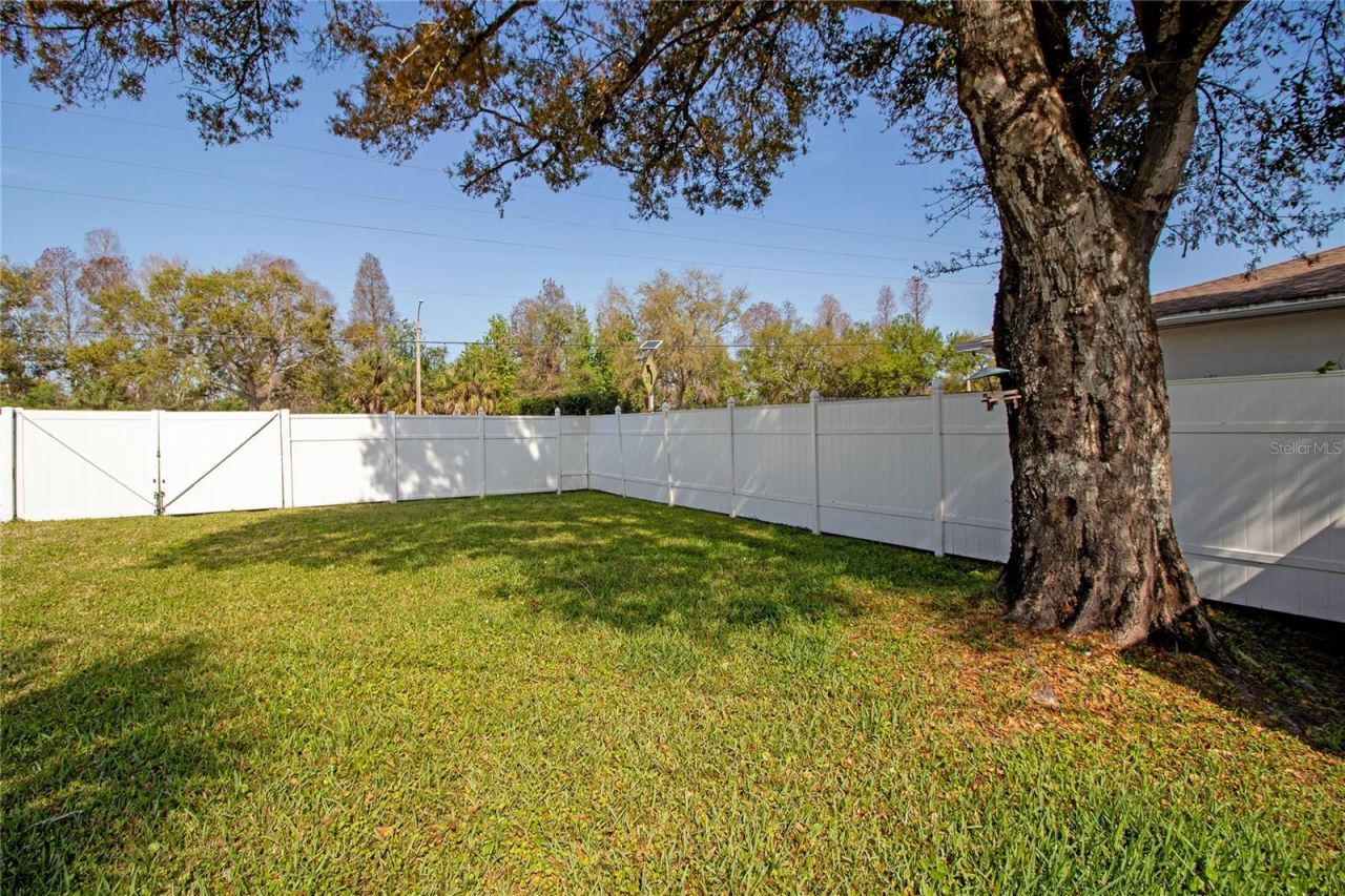 4438 Dr Martin Luther King Jr Street S, Saint Petersburg, FL 33705 Photo