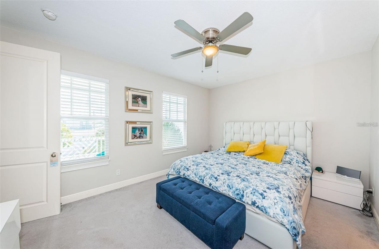 7004 Grevilla Avenue S, South Pasadena, FL 33707 Photo