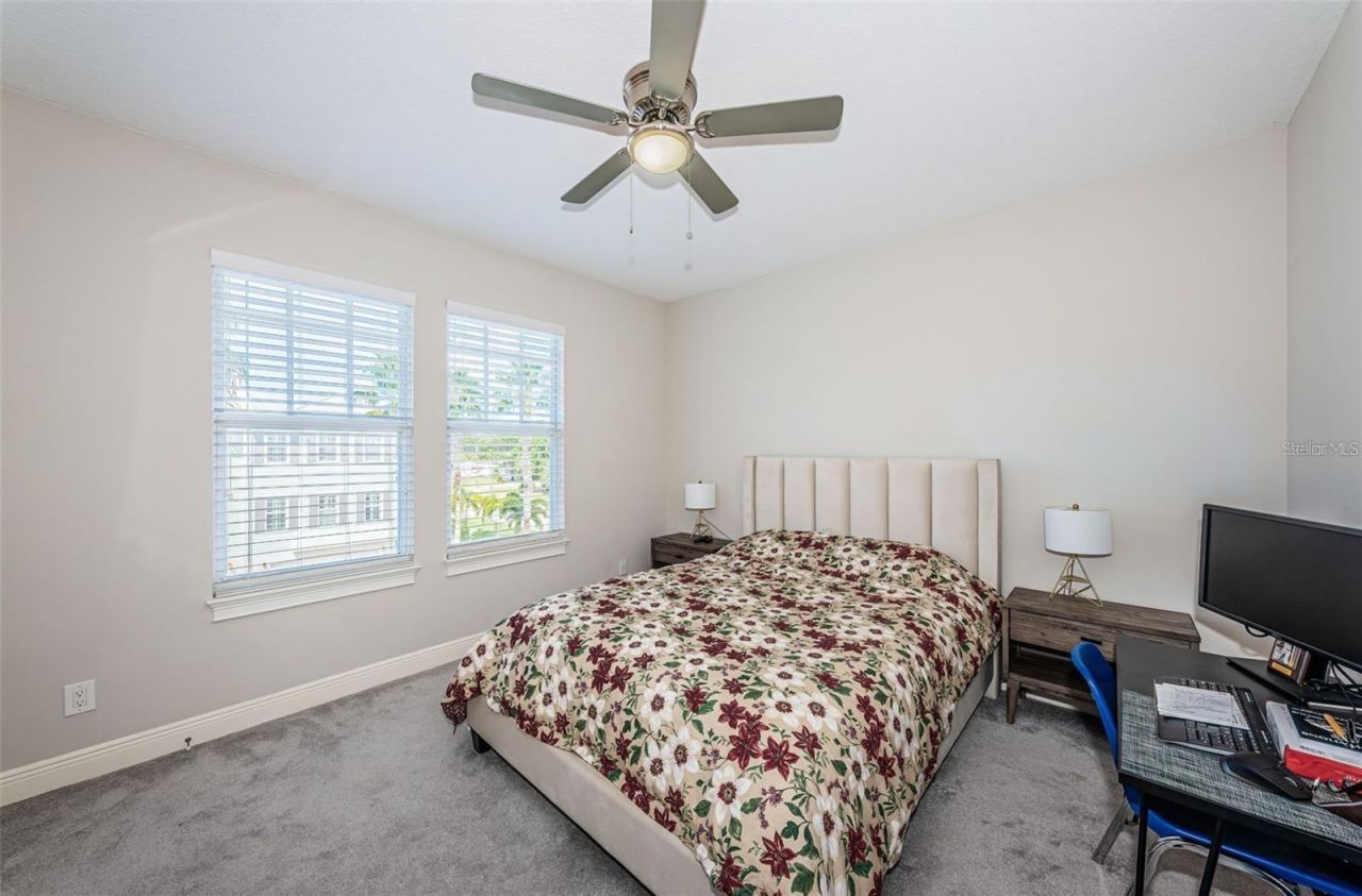 7004 Grevilla Avenue S, South Pasadena, FL 33707 Photo