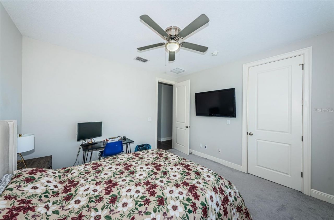 7004 Grevilla Avenue S, South Pasadena, FL 33707 Photo