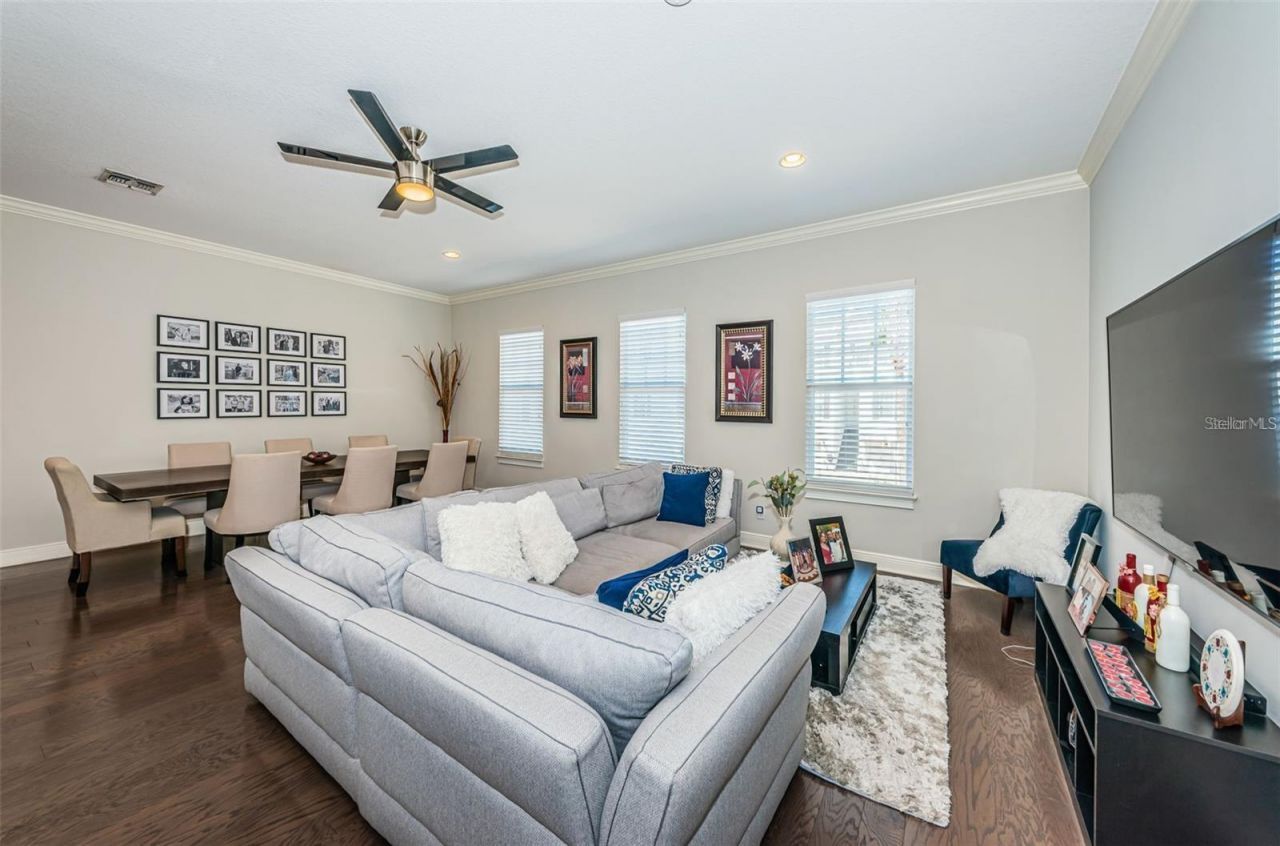 7004 Grevilla Avenue S, South Pasadena, FL 33707 Photo