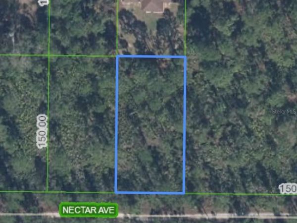 1702 NECTAR AVENUE , SEBRING, FL 33875