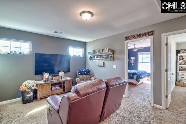 455 Crassula Drive Photo 18