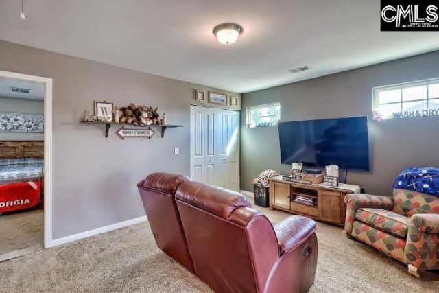 455 Crassula Drive Photo 19