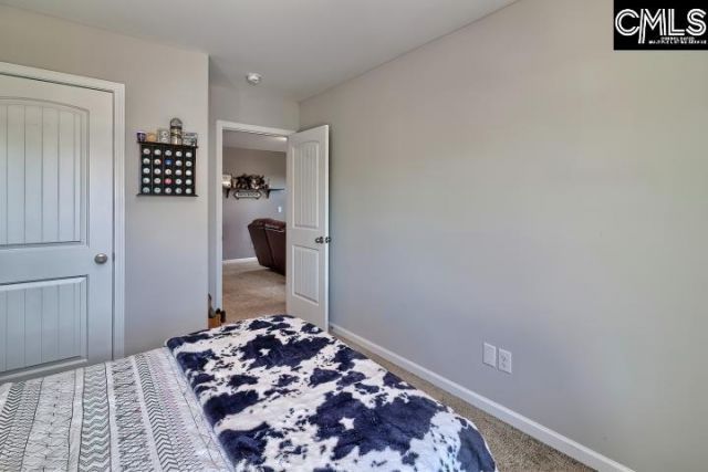 455 Crassula Drive Photo 23