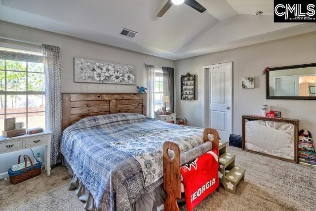 455 Crassula Drive Photo 27