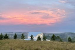 3914 Golden Crane Pass photo 4