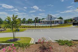 3914 Golden Crane Pass photo 4