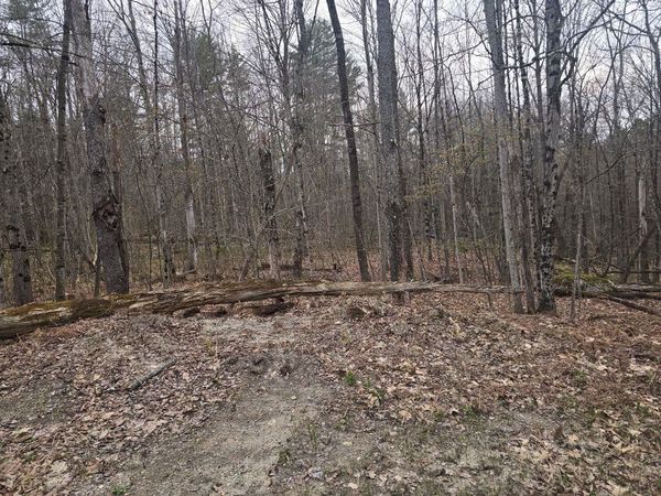 Copeland Road, Unity, NH 03603