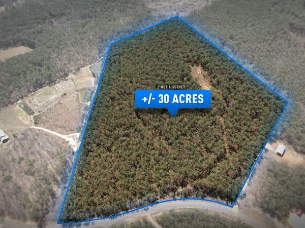 County Road 231, Iuka, MS 38852