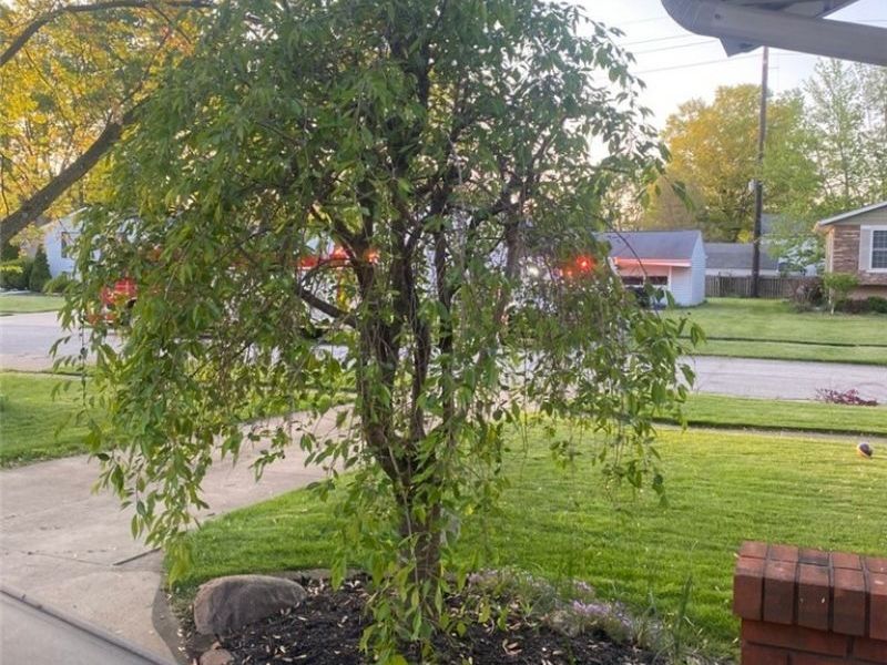 236 Northfield Drive, Elyria, OH 44035 Photo 25