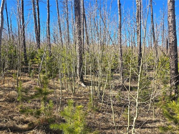 Lot 1470 Von Heyl Lane , Fort Garland, CO 81133