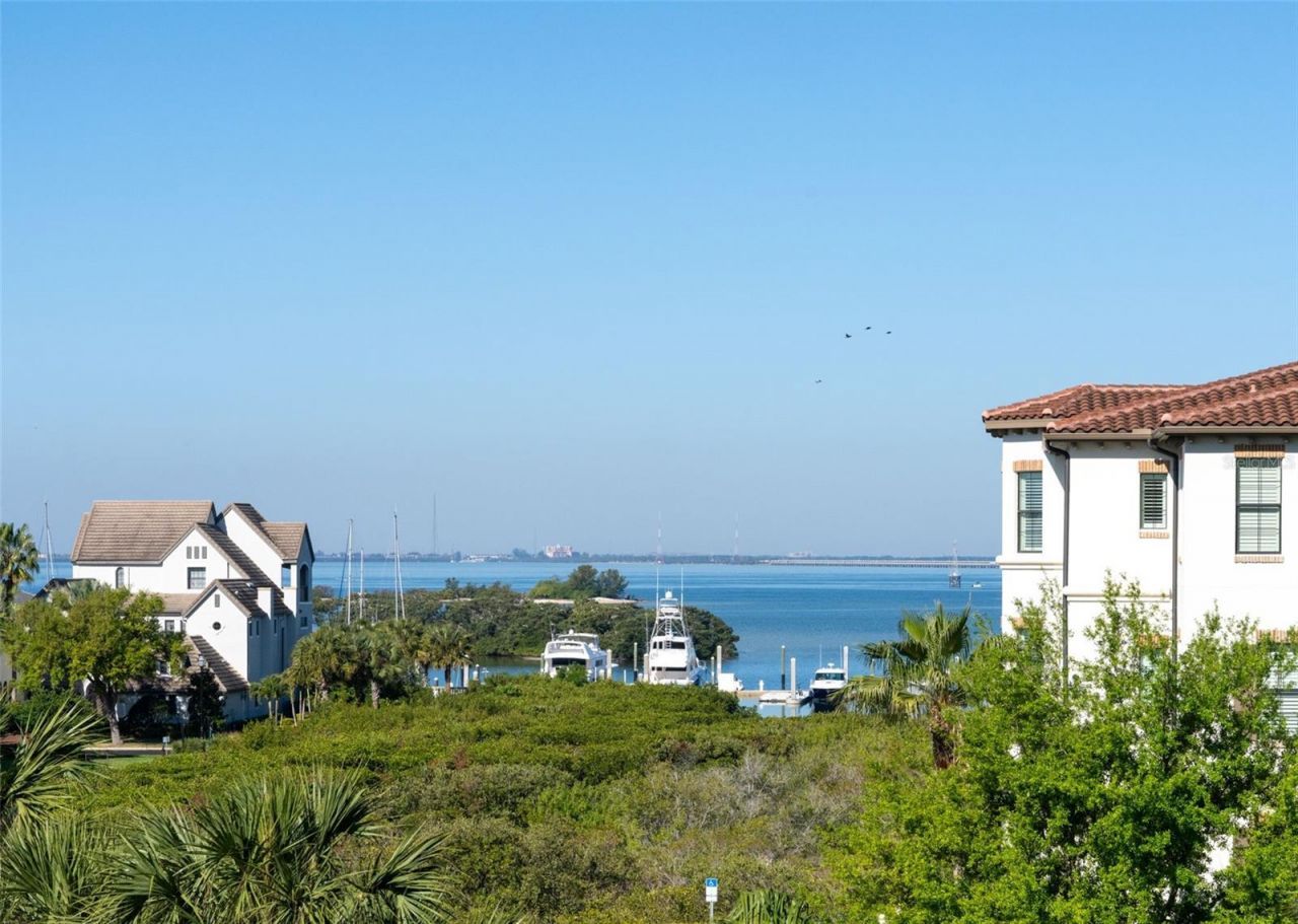 5823 Bowen Daniel Drive, Unit 401, Tampa, FL 33616 Photo