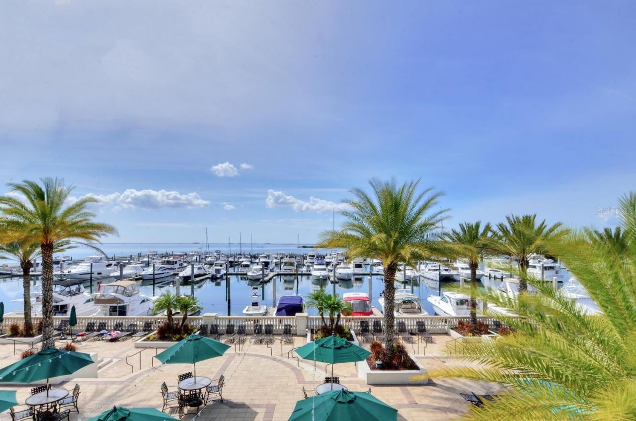 5823 Bowen Daniel Drive, Unit 401, Tampa, FL 33616 Photo