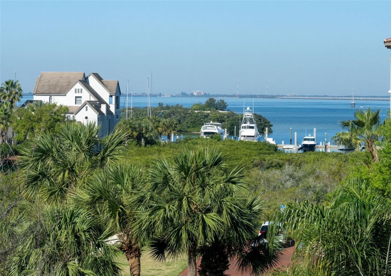 5823 Bowen Daniel Drive, Unit 401, Tampa, FL 33616 Photo