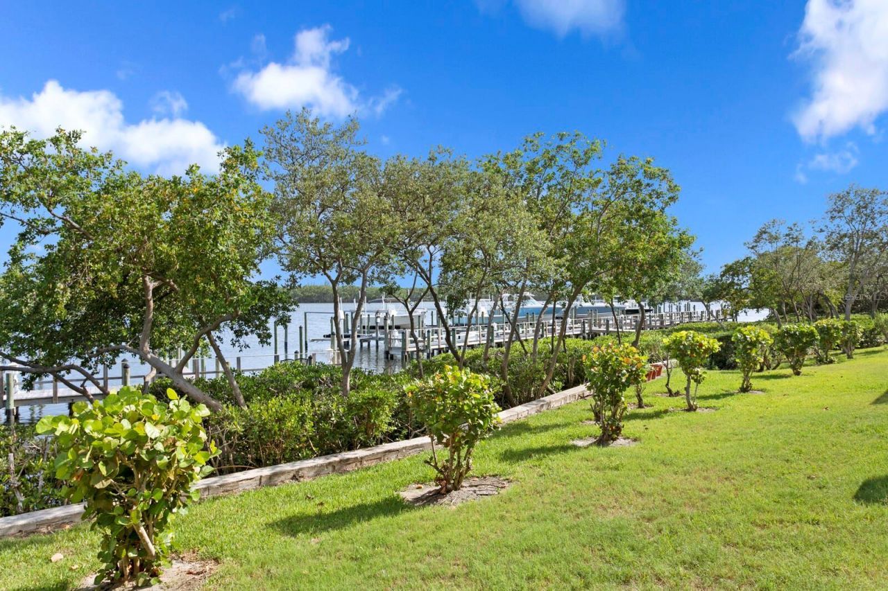 1040 Paseo Del Rio Ne, Saint Petersburg, FL 33702 Photo