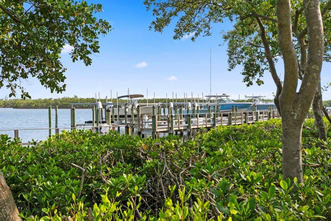 1040 Paseo Del Rio Ne, Saint Petersburg, FL 33702 Photo