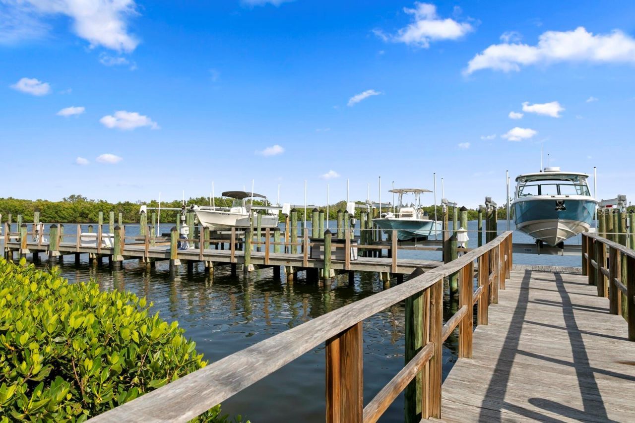 1040 Paseo Del Rio Ne, Saint Petersburg, FL 33702 Photo