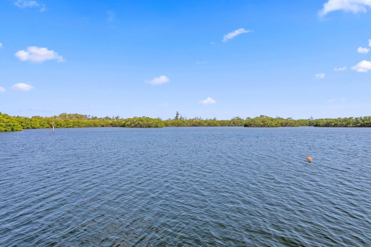 1040 Paseo Del Rio Ne, Saint Petersburg, FL 33702 Photo