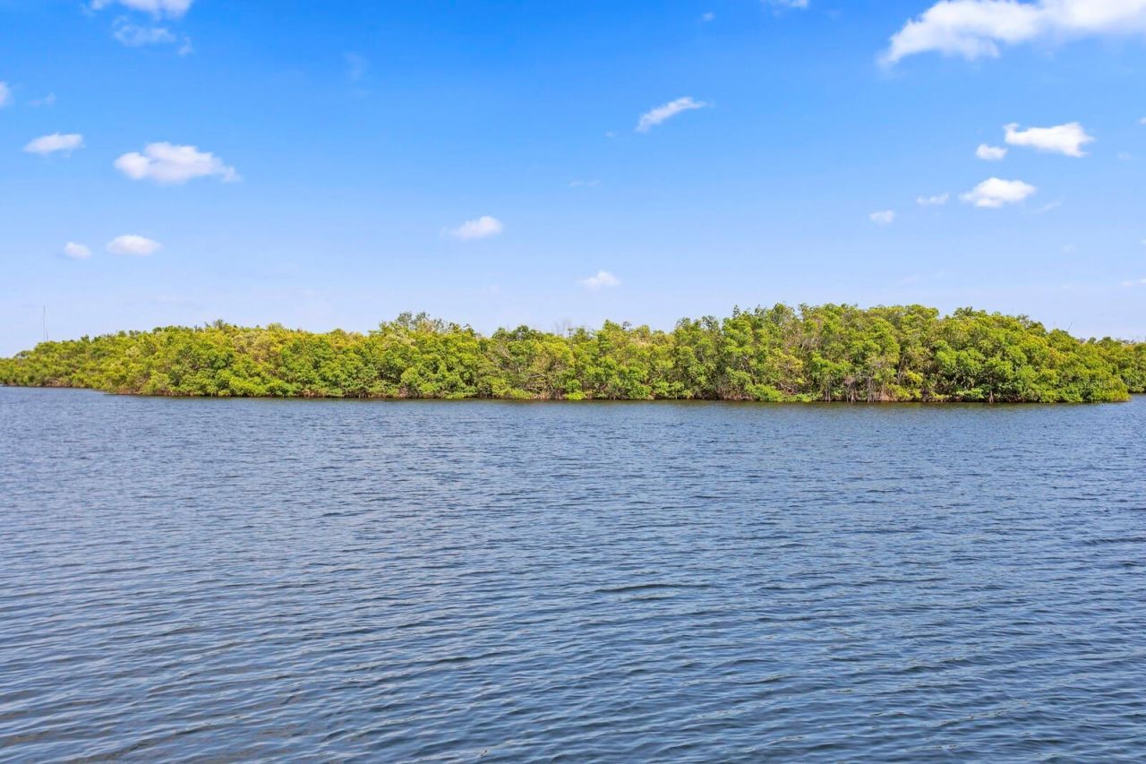 1040 Paseo Del Rio Ne, Saint Petersburg, FL 33702 Photo