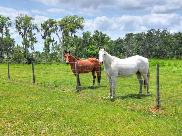 0 S CR 39 , LITHIA, FL 33547