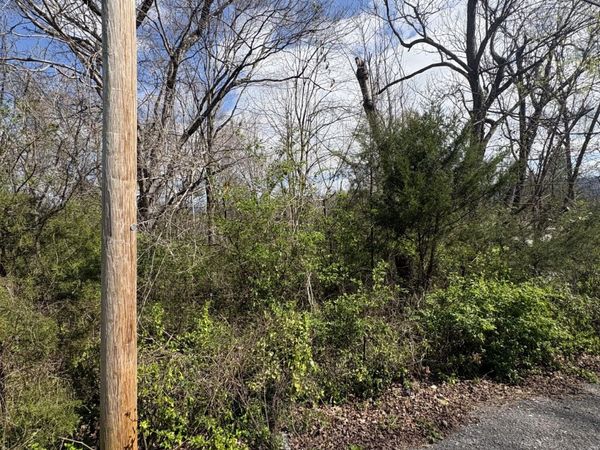 113 Alabama Avenue, Etowah, TN 37331