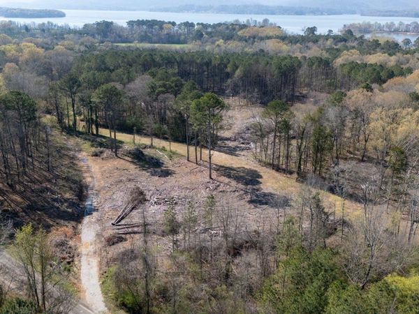 20.6 Acres Murphy Hill Road, Langston, AL 35755