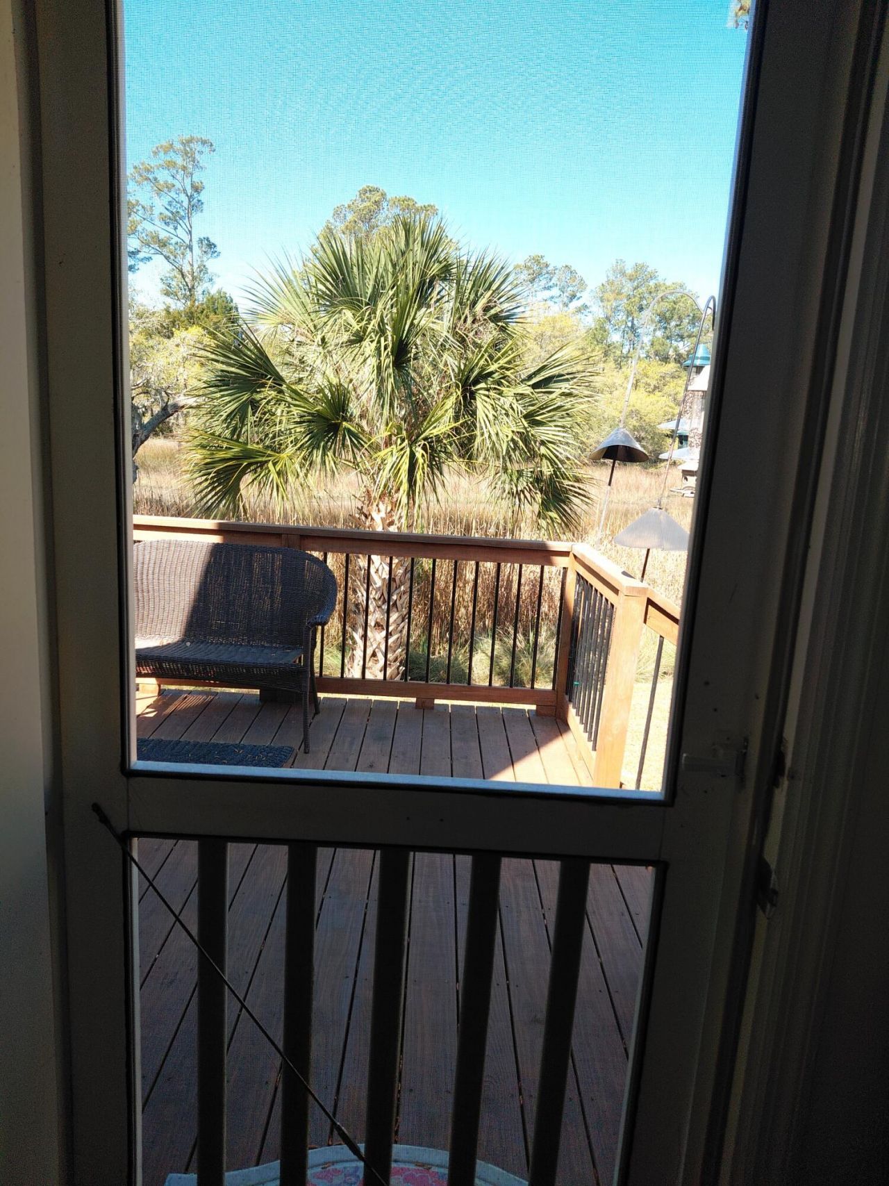 113 Historic Drive Photo 32