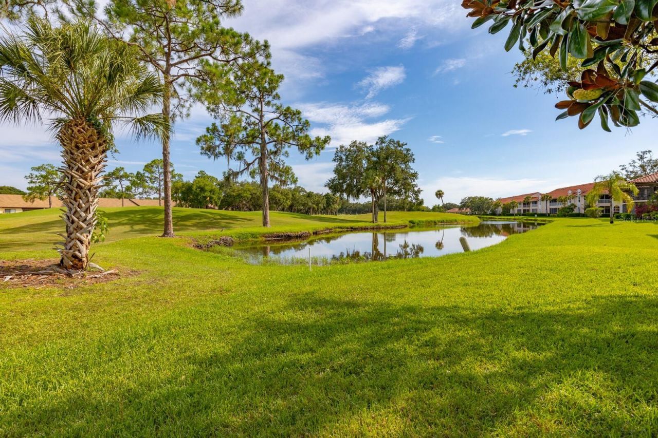 5640 Golf Pointe Drive , Unit 101, Sarasota, FL 34243 Photo