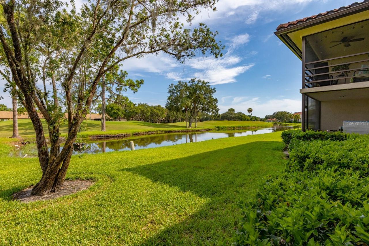 5640 Golf Pointe Drive , Unit 101, Sarasota, FL 34243 Photo