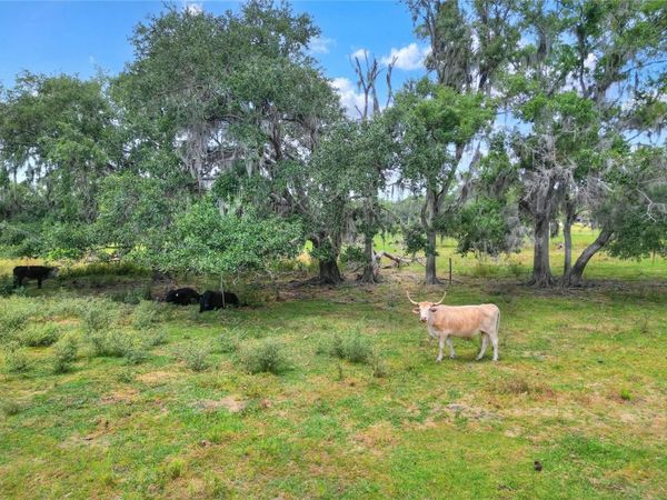 0 S CR 39 , LITHIA, FL 33547