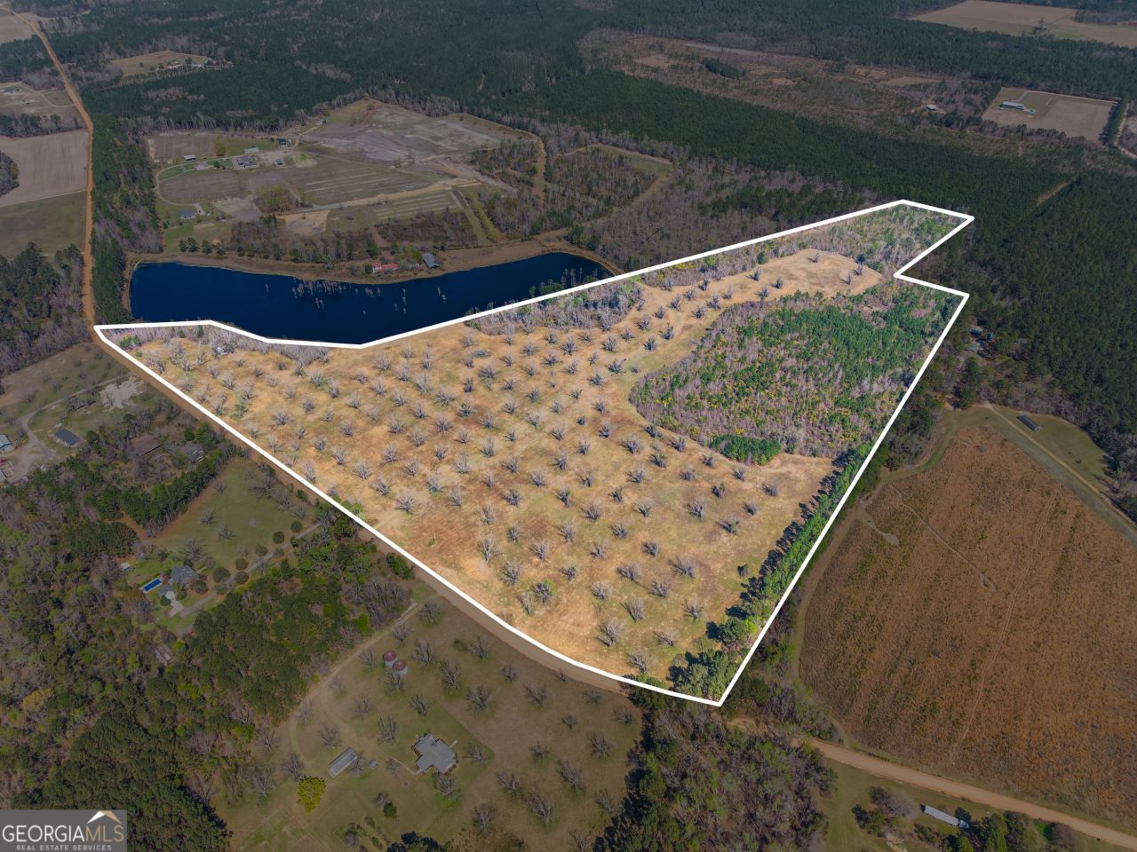 0 Cleary Road, Brooklet, GA 30415 Main Photo