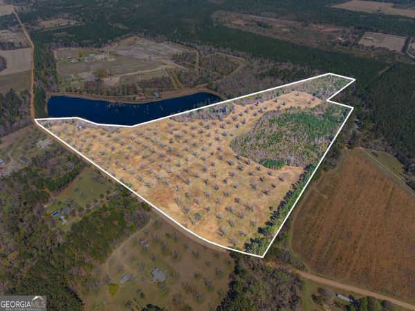 0 Cleary Road, Brooklet, GA 30415