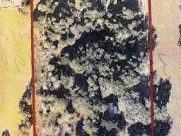 282 SW NEVERLAND WAY, Fort White, FL 32038