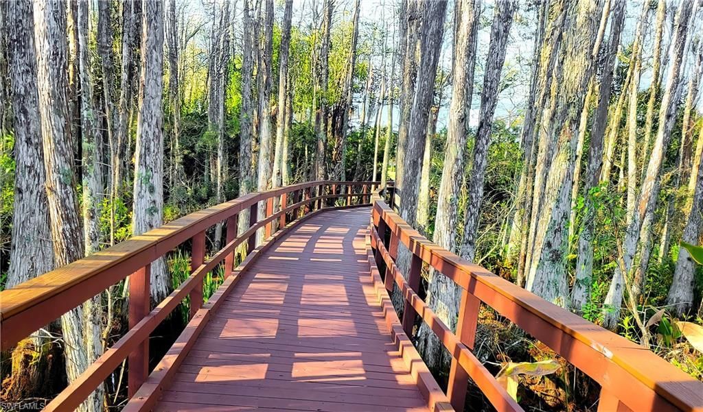 10021 Colonial Country Club Blvd, Fort Myers, FL 33913 Photo