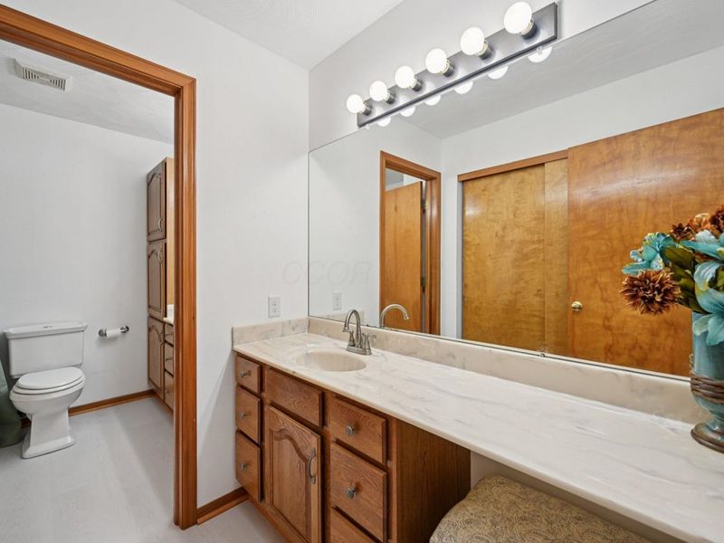 3080 Clark Shaw Road, Powell, OH 43065 Photo 29