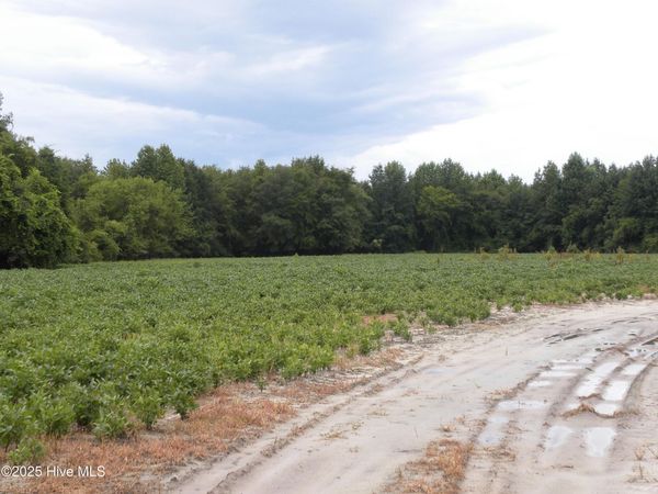 Tbd Conetoe Road, Greenville, NC 27834