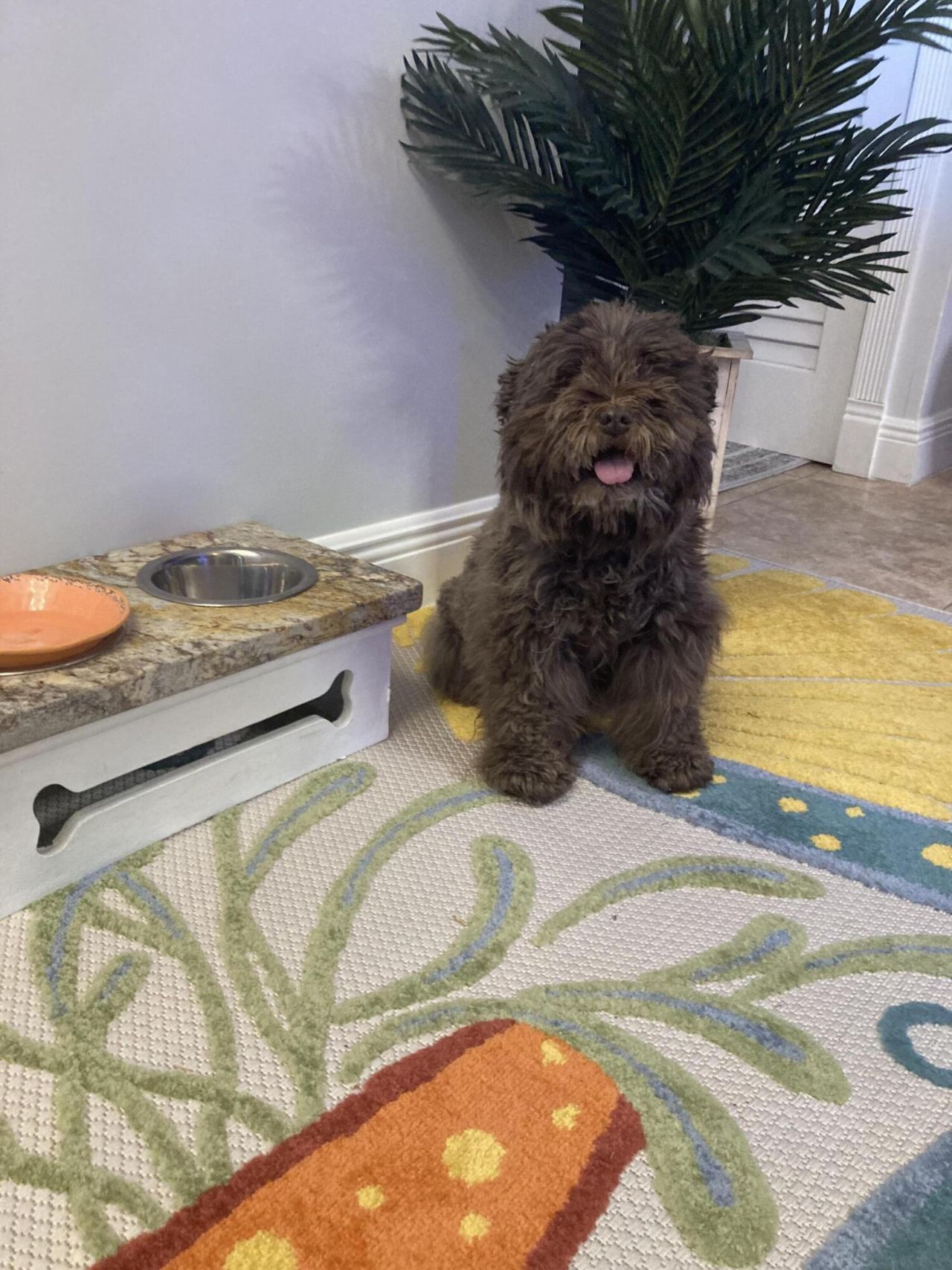 2847 Ashley Drive W, Unit G, West Palm Beach, FL 33415 Photo