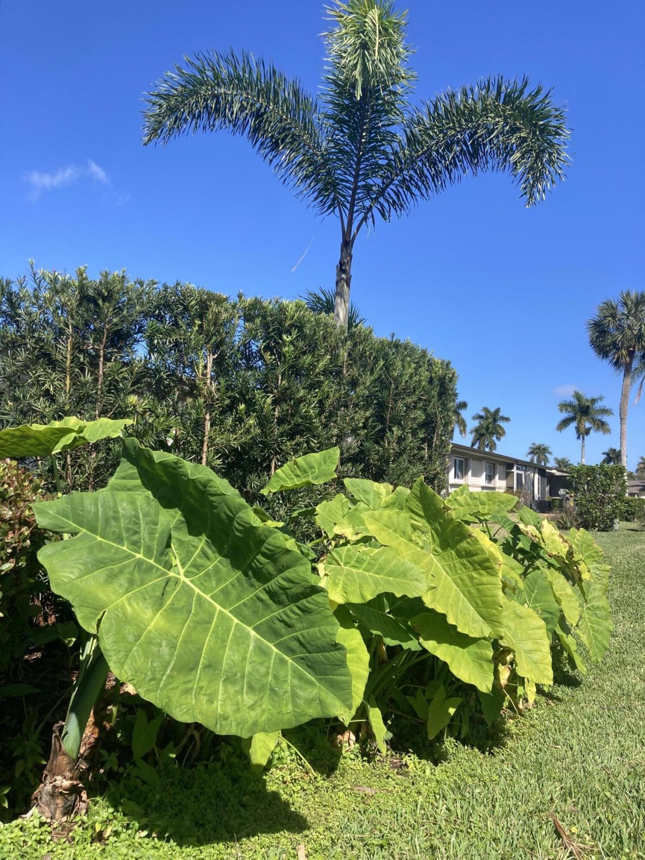 2847 Ashley Drive W, Unit G, West Palm Beach, FL 33415 Photo