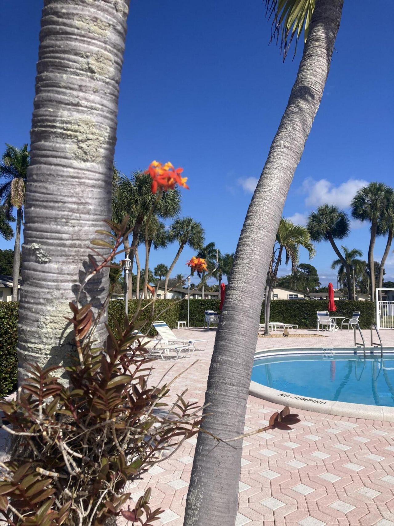 2847 Ashley Drive W, Unit G, West Palm Beach, FL 33415 Photo