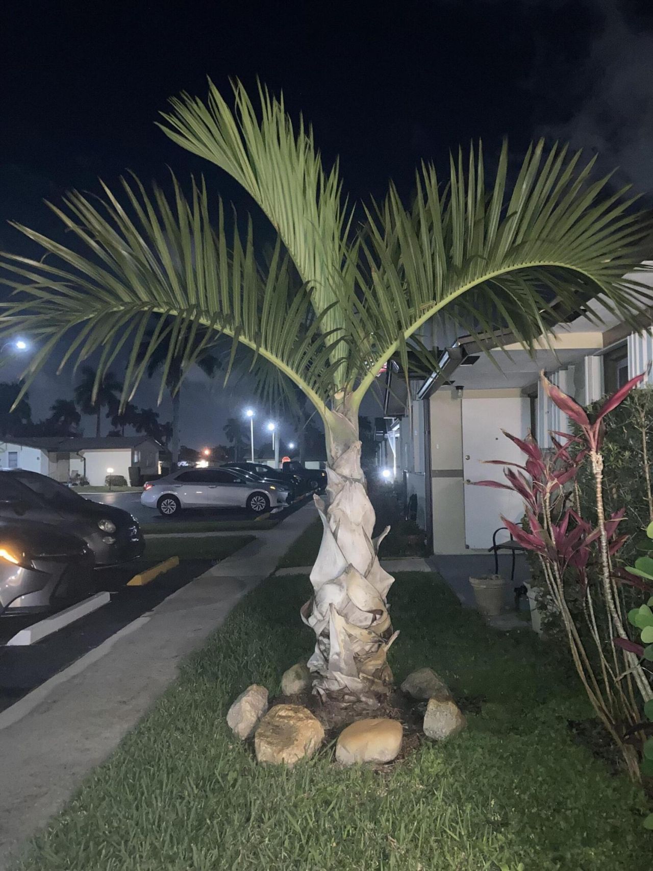 2847 Ashley Drive W, Unit G, West Palm Beach, FL 33415 Photo