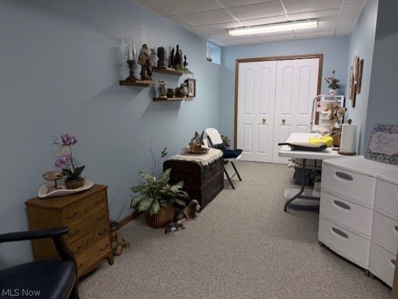 11218 Butternut Lane, North Royalton, OH 44133 Photo 28